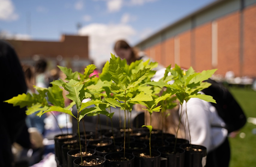 Students in the background lean over a table while small potted plants sit in the foreground.