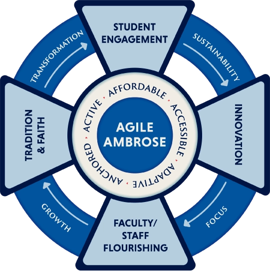 Graphic representing elements of strategic plan, including pillars, process, and areas of focus.