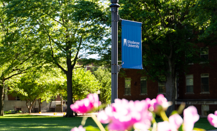Spring campus beauty shot - pole banner and pink flowers