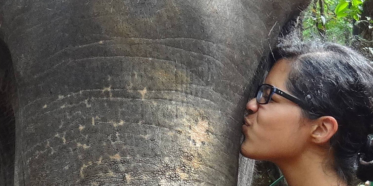 twyla kissing elephant